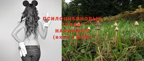 бошки Армянск