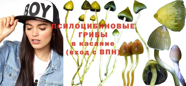 а пвп мука Алексеевка